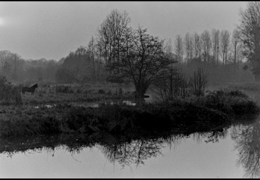 Argentique